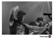 20.12.2018 Distel im Beton, Droke, Minipax