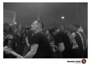 20.12.2018 Distel im Beton, Droke, Minipax