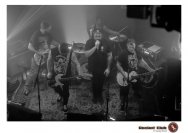 20.12.2018 Distel im Beton, Droke, Minipax