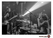 20.12.2018 Distel im Beton, Droke, Minipax