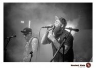 20.12.2018 Distel im Beton, Droke, Minipax