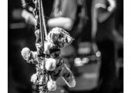 30.01.2018 Umsonst und drinnen - Mynded