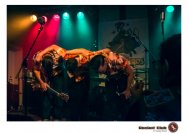 06.12.2019 Billy and the Boozebirds, Zigori, Beyond 2000er