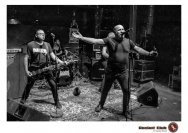 16.01.2019 Umsonst und drinnen - Frog Shock