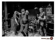 16.01.2019 Umsonst und drinnen - Frog Shock