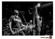 16.01.2019 Umsonst und drinnen - Frog Shock