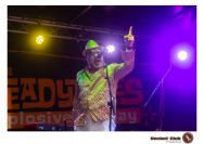 22.06.2019 Sommerfest - The Steady Stones
