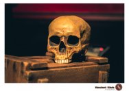 23.01.2019 Umsonst und drinnen - Zigori, Wanted Wol