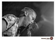 27.03.2019 Umsonst und Drinnen - Billy and the Boozebirds, King Cojones