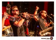 27.03.2019 Umsonst und Drinnen - Billy and the Boozebirds, King Cojones