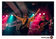 08.02.2020 Herbergsvater, Mad World