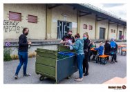 11.07.2020 Kultursommer - Fischer und Rabe, Francis Jones
