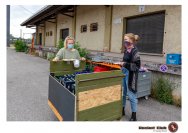 18.07.2020 Kultursommer - Zigori, Bluesjunkies