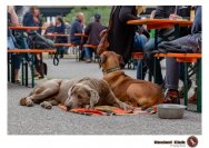 18.07.2020 Kultursommer - Zigori, Bluesjunkies