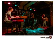 29.01.2020 Umsonst und Drinnen - Brain your Damage, Taiming the Shrew