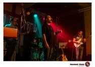 29.01.2020 Umsonst und Drinnen - Brain your Damage, Taiming the Shrew